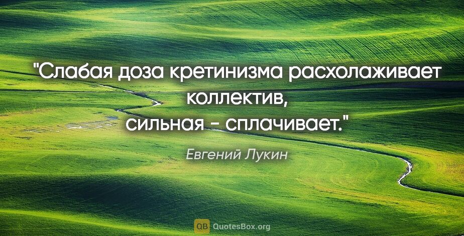 Евгений Лукин цитата: "Слабая доза кретинизма расхолаживает коллектив, сильная -..."