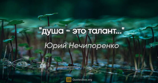 Юрий Нечипоренко цитата: "душа - это талант..."