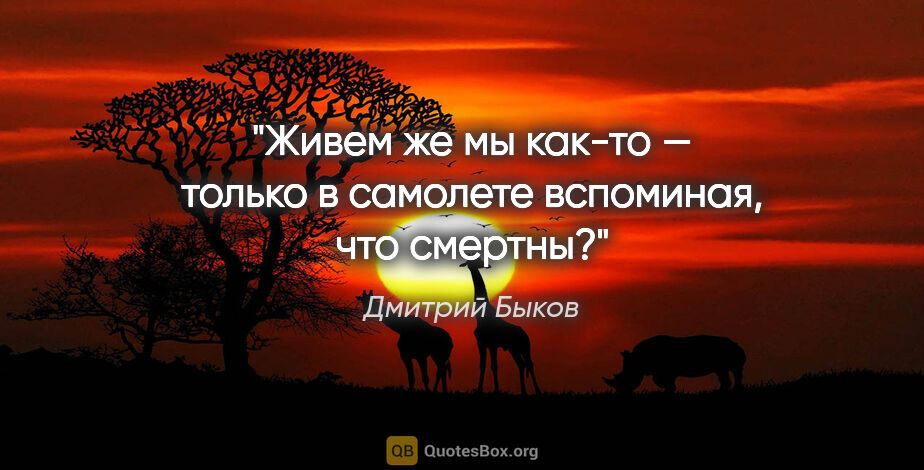 Дмитрий Быков цитата: "Живем же мы как-то — только в самолете вспоминая, что смертны?"