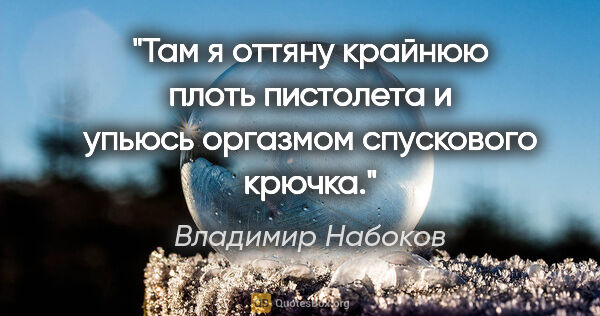 Владимир Набоков цитата: "Там я оттяну крайнюю плоть пистолета и упьюсь оргазмом..."