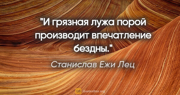 Станислав Ежи Лец цитата: "И грязная лужа порой производит впечатление бездны."