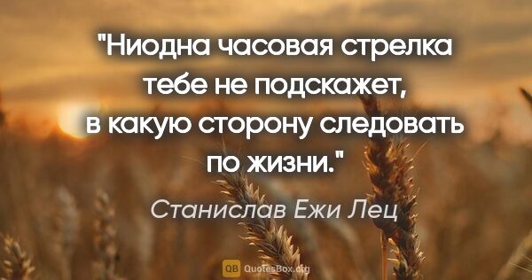 Станислав Ежи Лец цитата: "Ниодна часовая стрелка тебе не подскажет, в какую сторону..."