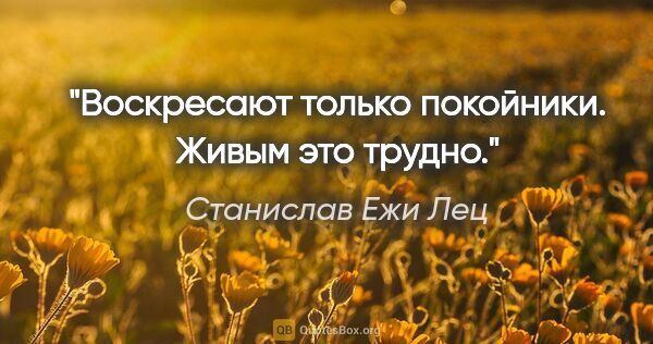 Станислав Ежи Лец цитата: "Воскресают только покойники. Живым это трудно."