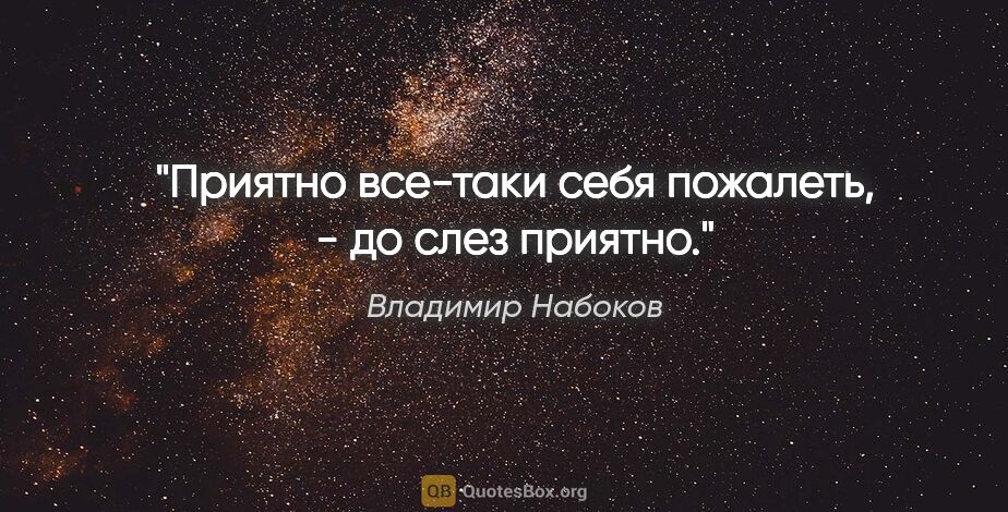 Владимир Набоков цитата: "Приятно все-таки себя пожалеть, - до слез приятно."