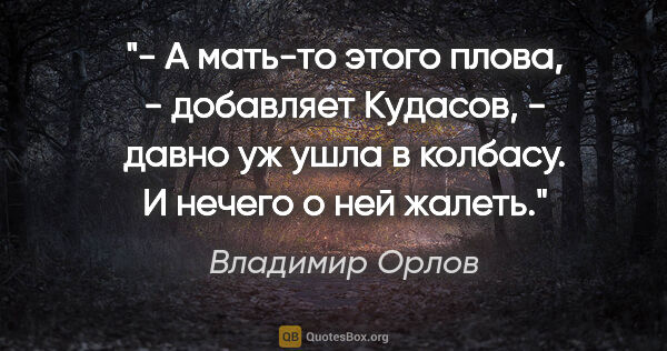 Владимир Орлов цитата: "- А мать-то этого плова, - добавляет Кудасов, - давно уж ушла..."