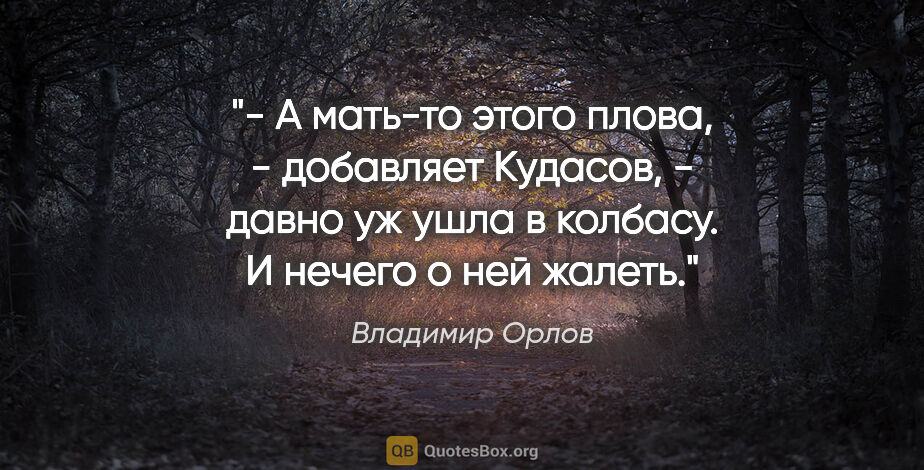 Владимир Орлов цитата: "- А мать-то этого плова, - добавляет Кудасов, - давно уж ушла..."