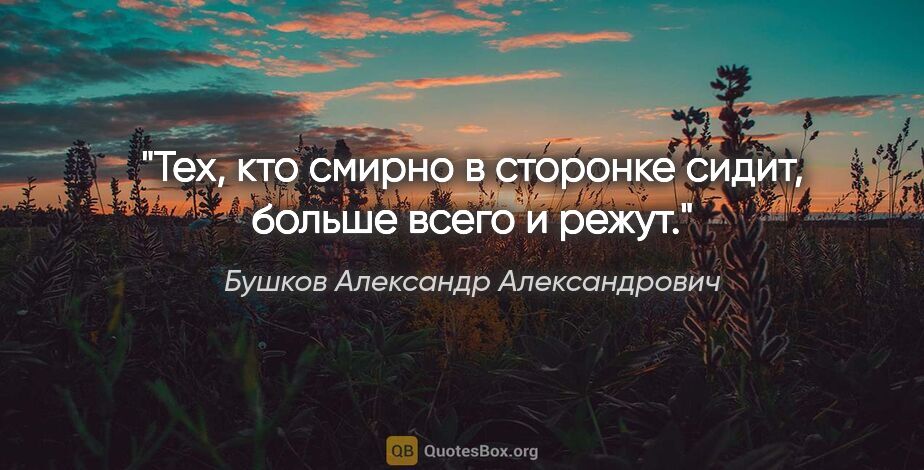 Бушков Александр Александрович цитата: "Тех, кто смирно в сторонке сидит, больше всего и режут."
