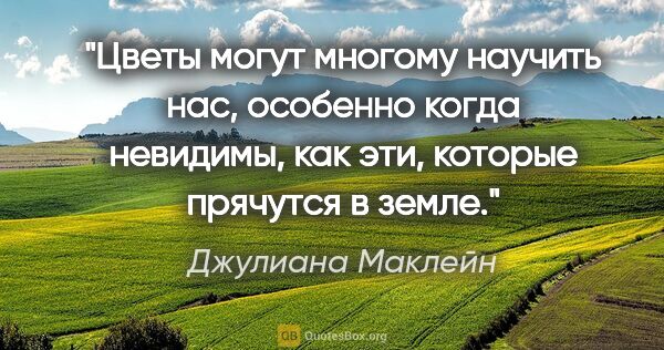 Джулиана Маклейн цитата: "Цветы могут многому научить нас, особенно когда невидимы, как..."