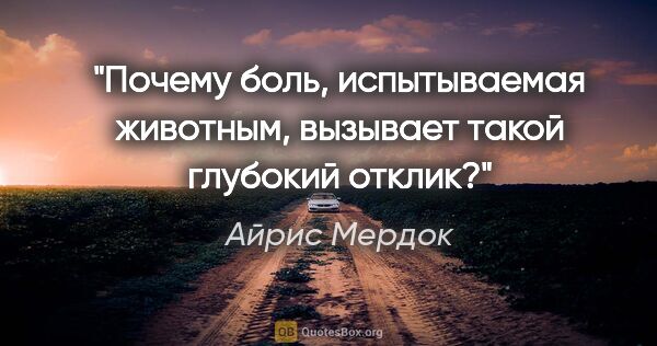 Айрис Мердок цитата: "Почему боль, испытываемая животным, вызывает такой глубокий..."