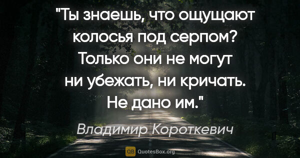 Владимир Короткевич цитата: "Ты знаешь, что ощущают колосья под серпом? Только они не могут..."