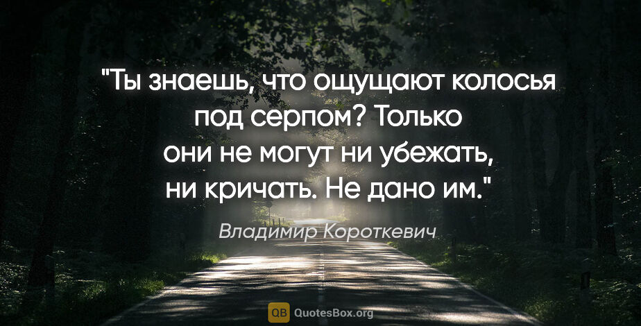 Владимир Короткевич цитата: "Ты знаешь, что ощущают колосья под серпом? Только они не могут..."