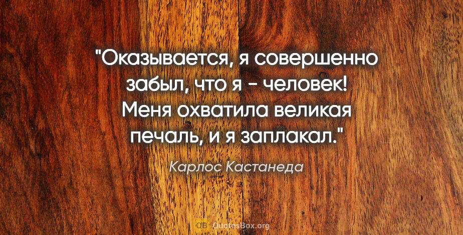 Карлос Кастанеда цитата: "Оказывается, я совершенно забыл, что я - человек! Меня..."