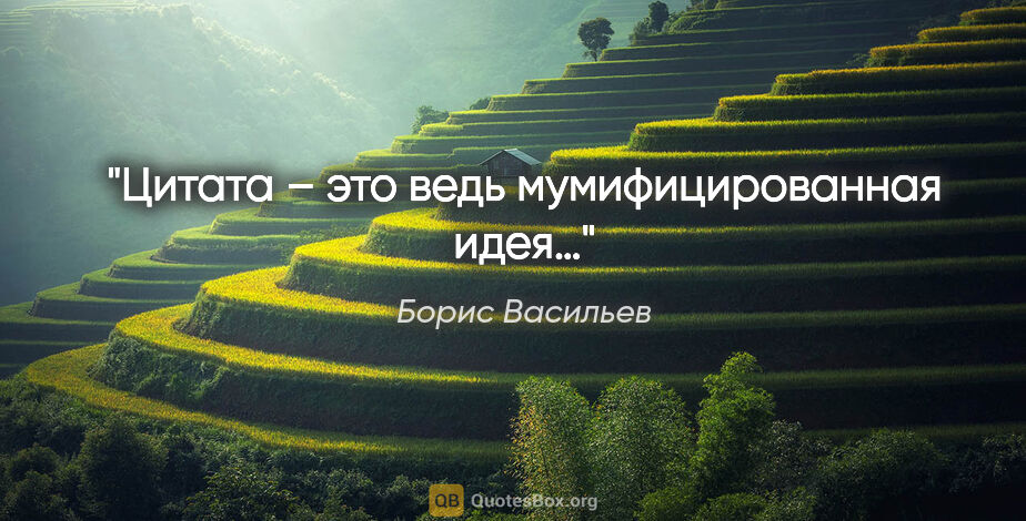 Борис Васильев цитата: "Цитата – это ведь мумифицированная идея…"