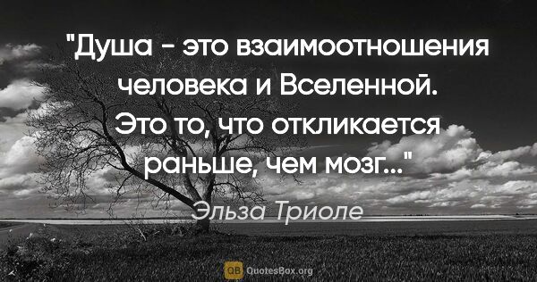 Эльза Триоле цитата: "Душа - это взаимоотношения человека и Вселенной. Это то, что..."