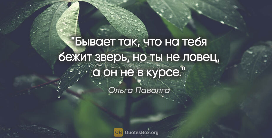 Ольга Паволга цитата: "Бывает так, что на тебя бежит зверь, но ты не ловец, а он не в..."