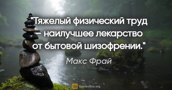 Макс Фрай цитата: "Тяжелый физический труд – наилучшее лекарство от бытовой..."