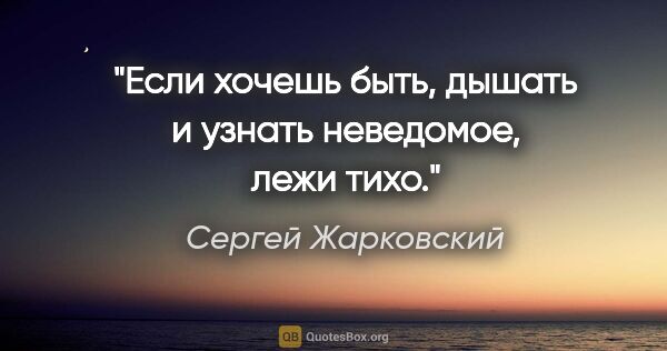 Сергей Жарковский цитата: "Если хочешь быть, дышать и узнать неведомое, лежи тихо."