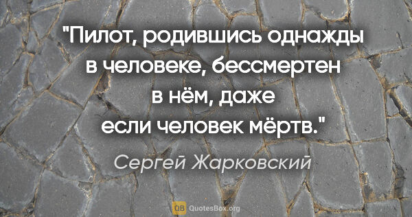 Сергей Жарковский цитата: "Пилот, родившись однажды в человеке, бессмертен в нём, даже..."