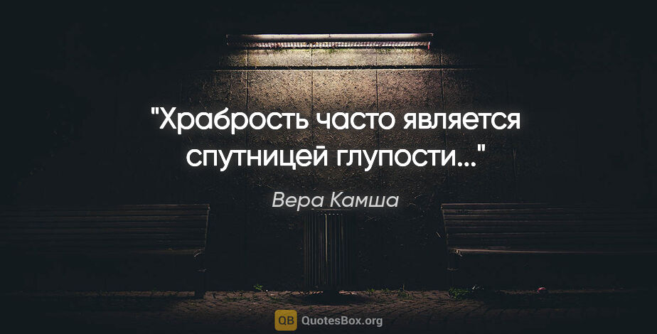 Вера Камша цитата: "Храбрость часто является спутницей глупости..."