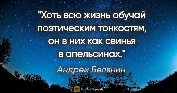 Андрей Белянин цитата: "Хоть всю жизнь обучай поэтическим тонкостям, он в них как..."