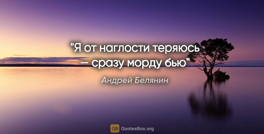 Андрей Белянин цитата: "Я от наглости теряюсь — сразу морду бью"