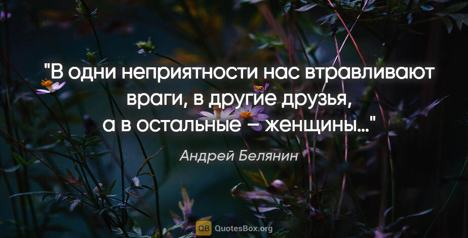 Андрей Белянин цитата: "В одни неприятности нас втравливают враги, в другие друзья, а..."