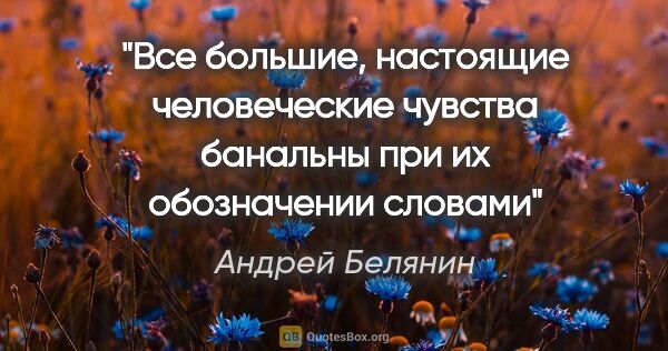 Андрей Белянин цитата: "Все большие, настоящие человеческие чувства банальны при их..."