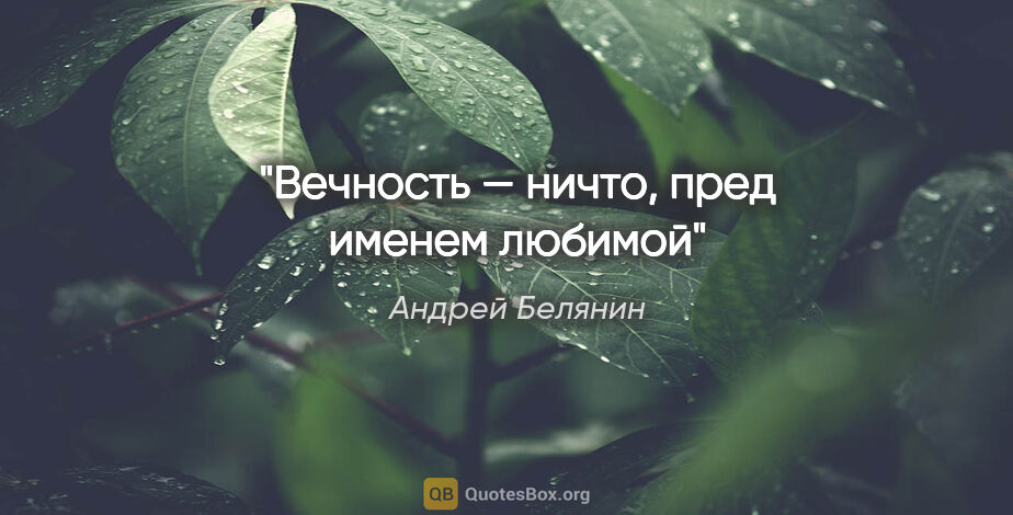 Андрей Белянин цитата: "Вечность — ничто, пред именем любимой"