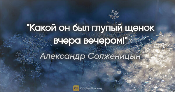 Александр Солженицын цитата: "Какой он был глупый щенок вчера вечером!"