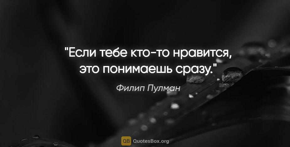 Филип Пулман цитата: "Если тебе кто-то нравится, это понимаешь сразу."