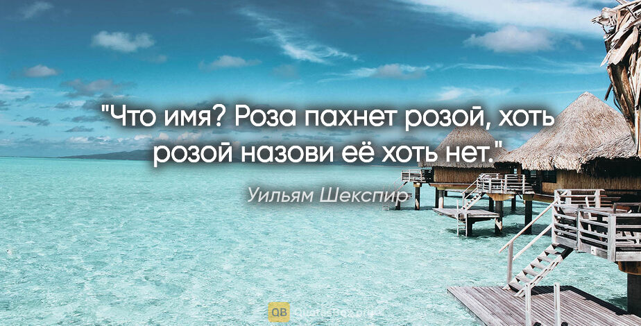 Уильям Шекспир цитата: "Что имя? Роза пахнет розой, хоть розой назови её хоть нет."