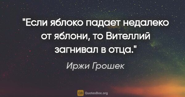 Иржи Грошек цитата: "Если яблоко падает недалеко от яблони, то Вителлий загнивал в..."