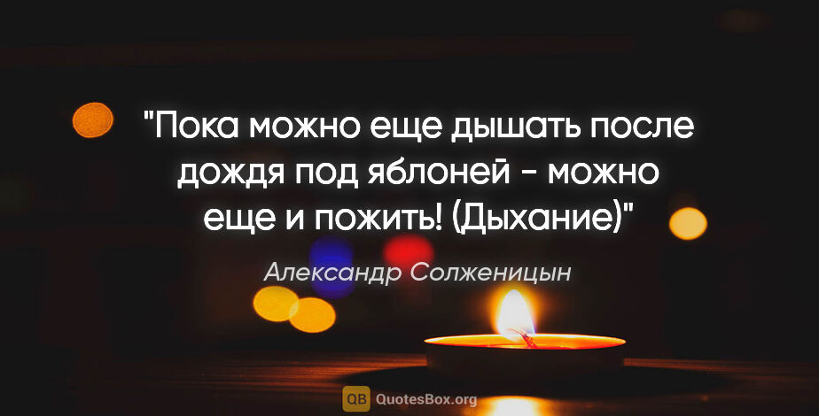 Александр Солженицын цитата: "Пока можно еще дышать после дождя под яблоней - можно еще и..."