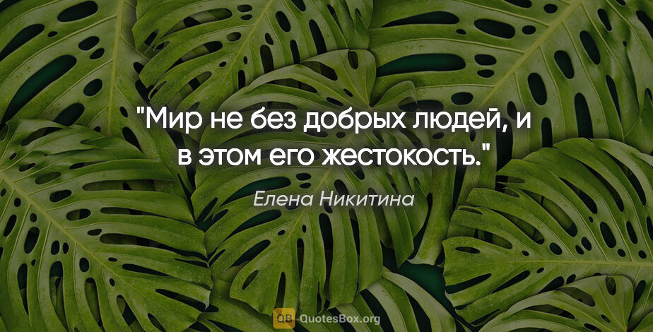 Елена Никитина цитата: "Мир не без добрых людей, и в этом его жестокость."