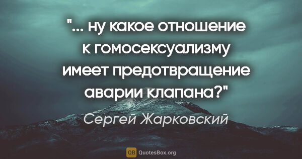 Сергей Жарковский цитата: " ну какое отношение к гомосексуализму имеет предотвращение..."