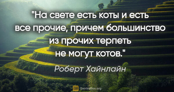 Роберт Хайнлайн цитата: "На свете есть коты и есть все прочие, причем большинство из..."