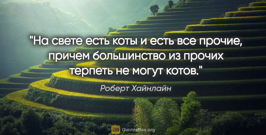 Роберт Хайнлайн цитата: "На свете есть коты и есть все прочие, причем большинство из..."