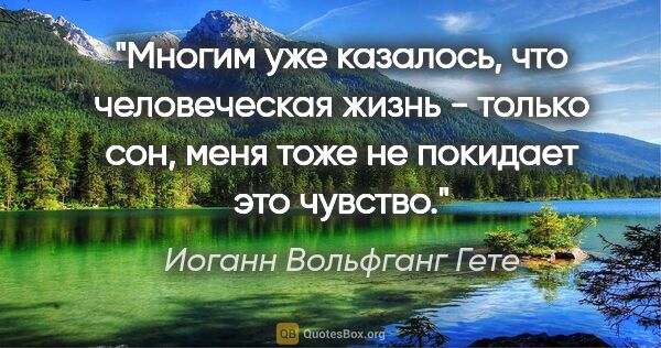 Иоганн Вольфганг Гете цитата: "Многим уже казалось, что человеческая жизнь - только сон, меня..."