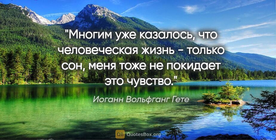 Иоганн Вольфганг Гете цитата: "Многим уже казалось, что человеческая жизнь - только сон, меня..."