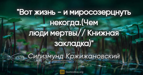 Сигизмунд Кржижановский цитата: "Вот жизнь - и миросозерцнуть некогда.(Чем люди мертвы//..."
