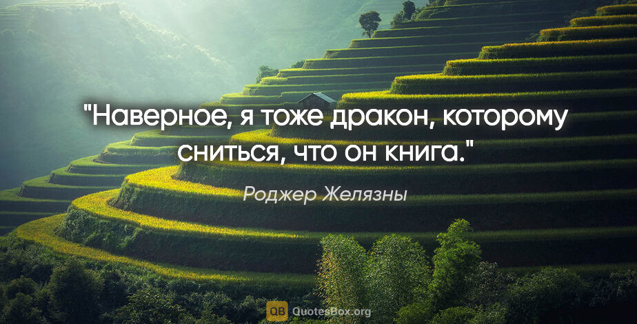 Роджер Желязны цитата: "Наверное, я тоже дракон, которому сниться, что он книга."