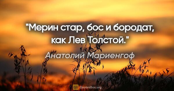 Анатолий Мариенгоф цитата: "Мерин стар, бос и бородат, как Лев Толстой."