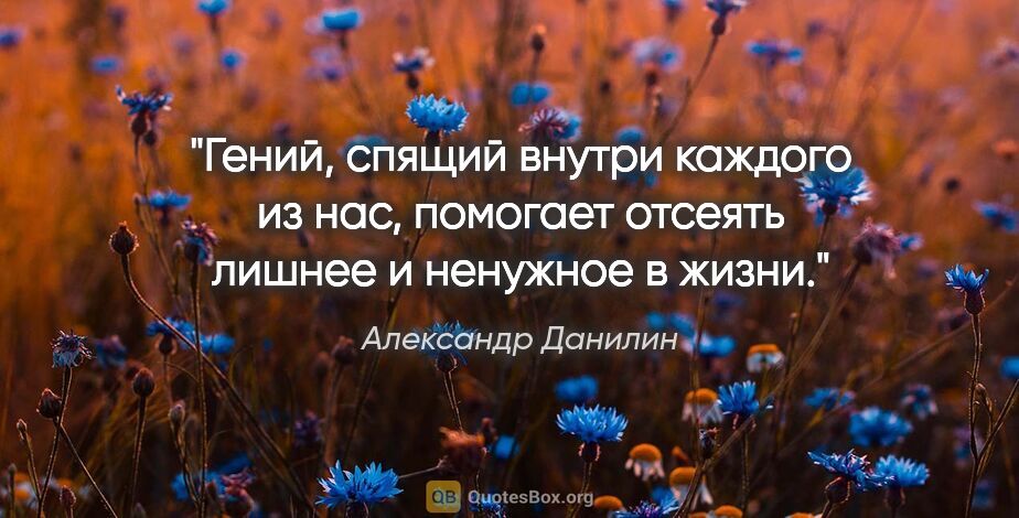 Александр Данилин цитата: "Гений, спящий внутри каждого из нас, помогает отсеять лишнее и..."