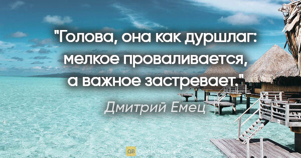 Дмитрий Емец цитата: "Голова, она как дуршлаг: мелкое проваливается, а важное..."