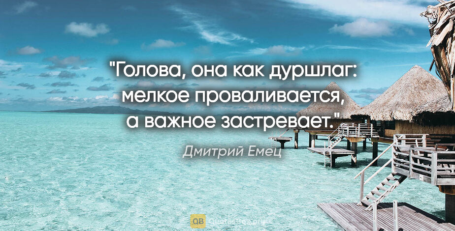 Дмитрий Емец цитата: "Голова, она как дуршлаг: мелкое проваливается, а важное..."