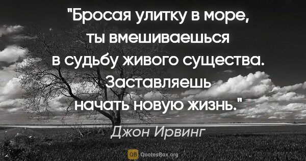 Джон Ирвинг цитата: "Бросая улитку в море, ты вмешиваешься в судьбу живого..."