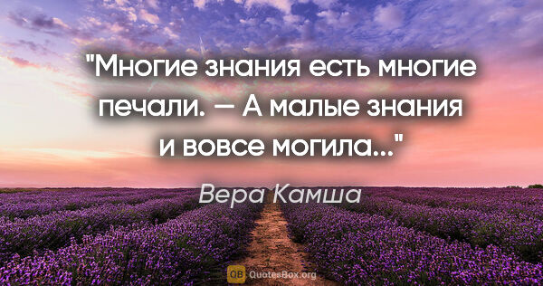 Вера Камша цитата: "Многие знания есть многие печали.

— А малые знания и вовсе..."