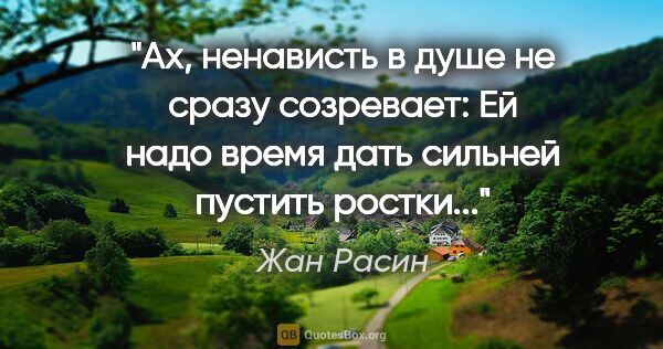 Жан Расин цитата: "Ах, ненависть в душе не сразу созревает:

Ей надо время дать..."