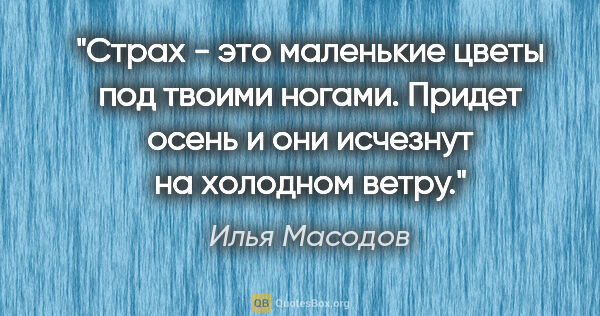 Илья Масодов цитата: "Страх - это маленькие цветы под твоими ногами. Придет осень и..."