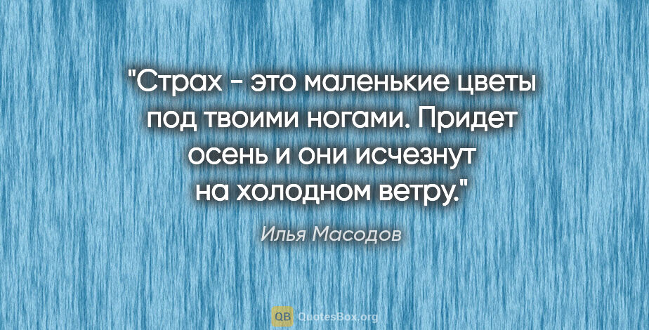 Илья Масодов цитата: "Страх - это маленькие цветы под твоими ногами. Придет осень и..."